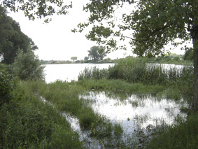 Šećeransko jezero